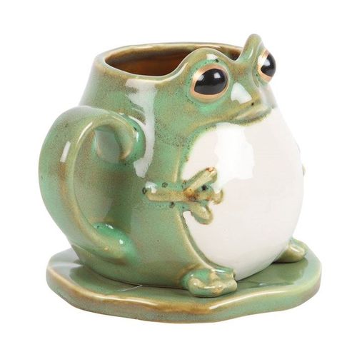Frog Shaped Mug and Lily Pad Saucer | Inspired Creative Gifts