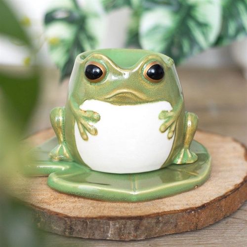 Frog Shaped Oil Burner on Lily Pad | Inspired Creative Gifts | UK Supplier