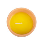 Gardener of the Year Citronella Candle | Inspired Creative Gifts | UK Supplier