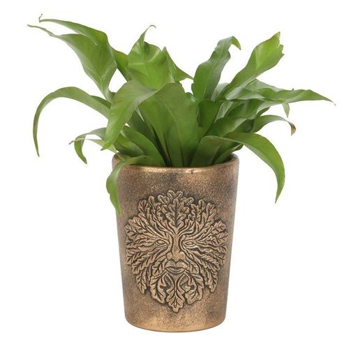 Green Man Bronze Terracotta Plant Pot by Lisa Parker | Inspired Creative Gifts | UK Supplier