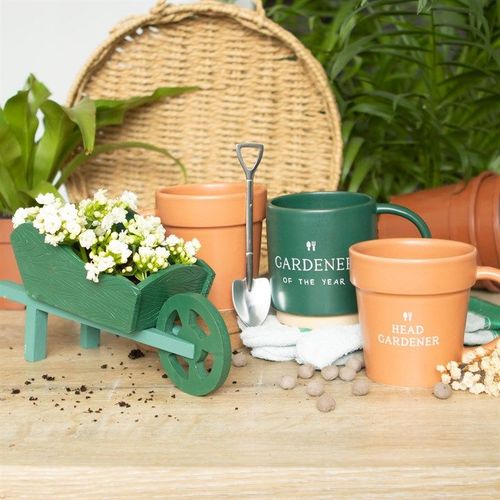 Green Resin Wheelbarrow Planter | Inspired Creative Gifts | UK Supplier
