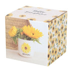 Hello Sunshine Plant Pot with 3D Sunflower | Inspired Creative Gifts | UK Supplier