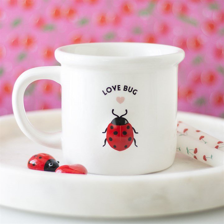 Love Bug Mug with 3D Ladybird | Inspired Creative Gifts | UK Supplier