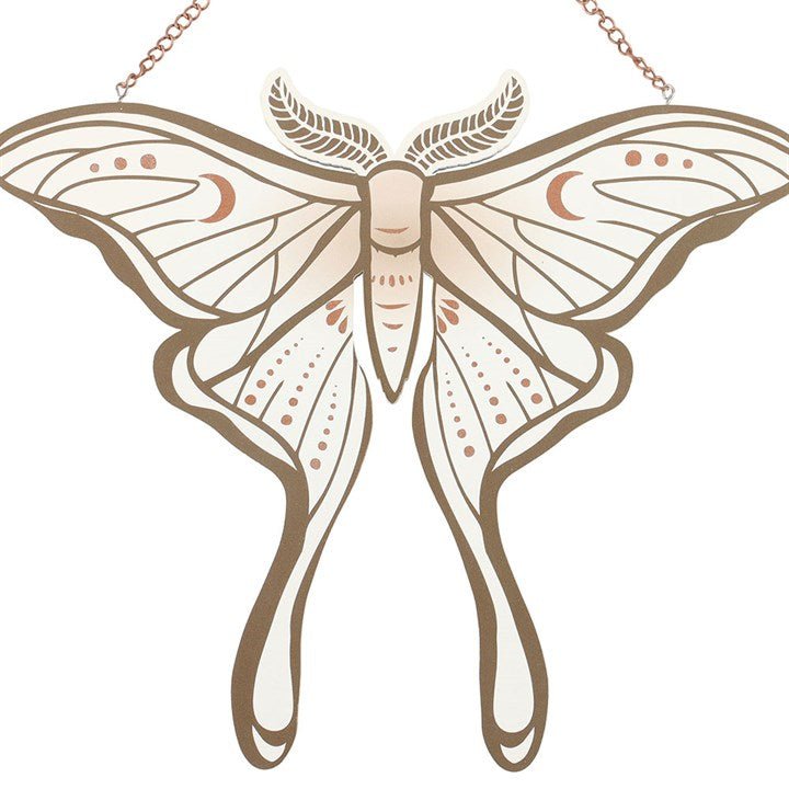 Luna Moth Hanging Sign | Inspired Creative Gifts | UK Supplier