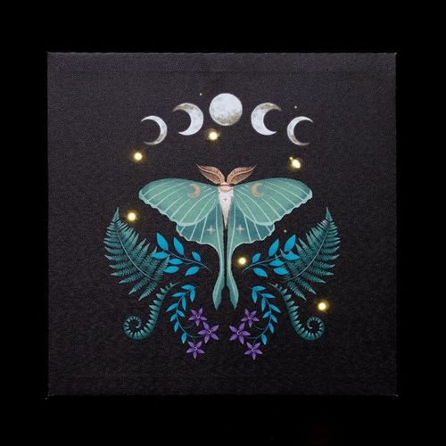Luna Moth Light Up Canvas Plaque | Inspired Creative Gifts | UK Supplier
