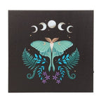 Luna Moth Light Up Canvas Plaque | Inspired Creative Gifts | UK Supplier