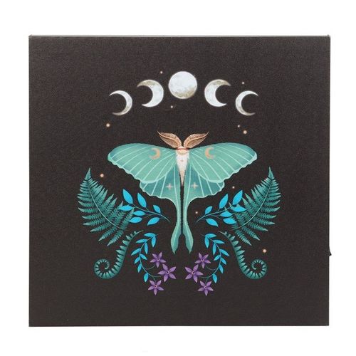Luna Moth Light Up Canvas Plaque | Inspired Creative Gifts | UK Supplier