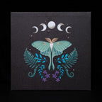 Luna Moth Light Up Canvas Plaque | Inspired Creative Gifts | UK Supplier