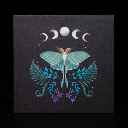 Luna Moth Light Up Canvas Plaque | Inspired Creative Gifts | UK Supplier