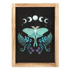 Luna Moth Wooden Framed Wall Art | Inspired Creative Gifts | UK Supplier