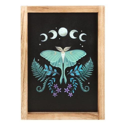 Luna Moth Wooden Framed Wall Art | Inspired Creative Gifts | UK Supplier