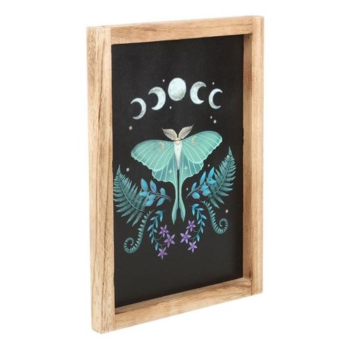 Luna Moth Wooden Framed Wall Art | Inspired Creative Gifts | UK Supplier
