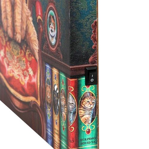 Mad About Cats Light Up Canvas By Lisa Parker | Inspired Creative Gifts | UK Supplier