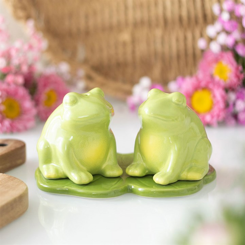 Luna Frog Salt and Pepper Shakers | Inspired Creative Gifts