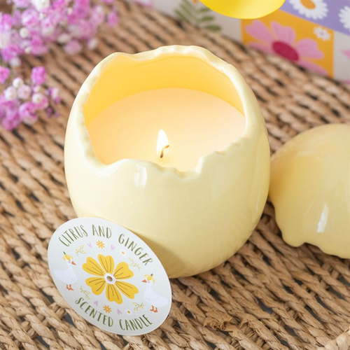 Citrus & Ginger Egg Shaped Candle |  | Inspired Creative Gifts