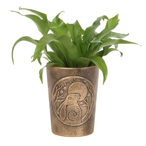 Moon Gazing Hare  Bronze Terracotta Plant Pot by Lisa Parker | Garden Accessories | Inspired Creative Gifts