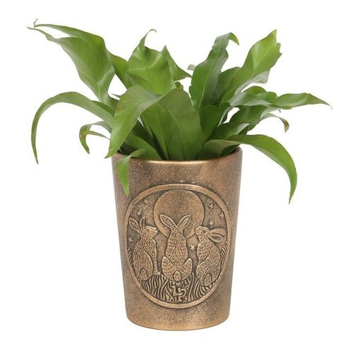 Moon Shadows Bronze Terracotta Plant Pot by Lisa Parker | Inspired Creative Gifts | UK Supplier