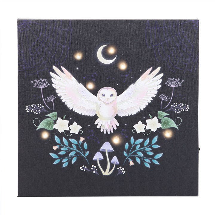 Night Owl Light Up Canvas Plaque | Inspired Creative Gifts | UK Supplier
