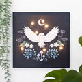 Night Owl Light Up Canvas Plaque | Inspired Creative Gifts | UK Supplier
