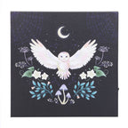 Night Owl Light Up Canvas Plaque | Inspired Creative Gifts | UK Supplier