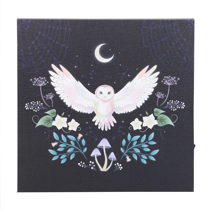 Night Owl Light Up Canvas Plaque | Inspired Creative Gifts | UK Supplier