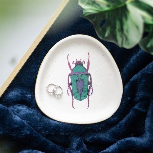 Off White Beetle Trinket Dish | Inspired Creative Gifts | UK Supplier