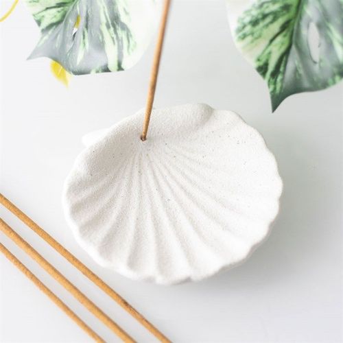 Off White Scallop Shell Incense Stick Holder | Inspired Creative Gifts | UK Supplier
