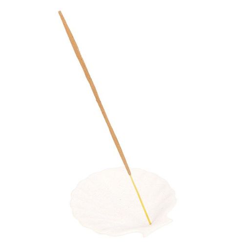Off White Scallop Shell Incense Stick Holder | Inspired Creative Gifts | UK Supplier