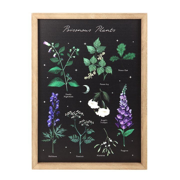 Poisonous Plants Framed Wall Art Print | Inspired Creative Gifts | UK Supplier