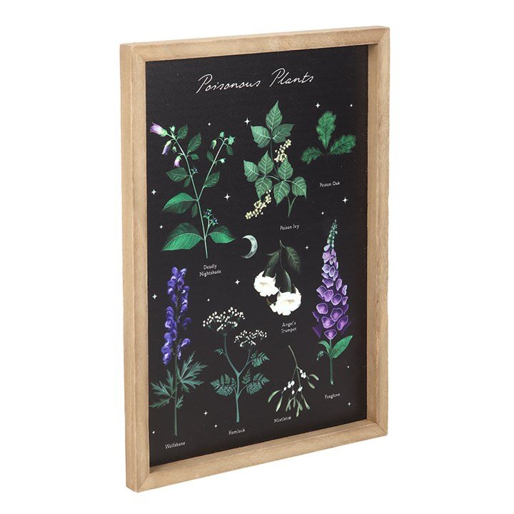 Poisonous Plants Framed Wall Art Print | Inspired Creative Gifts | UK Supplier