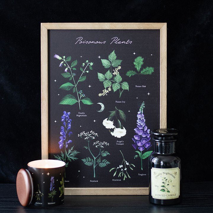 Poisonous Plants Framed Wall Art Print | Inspired Creative Gifts | UK Supplier