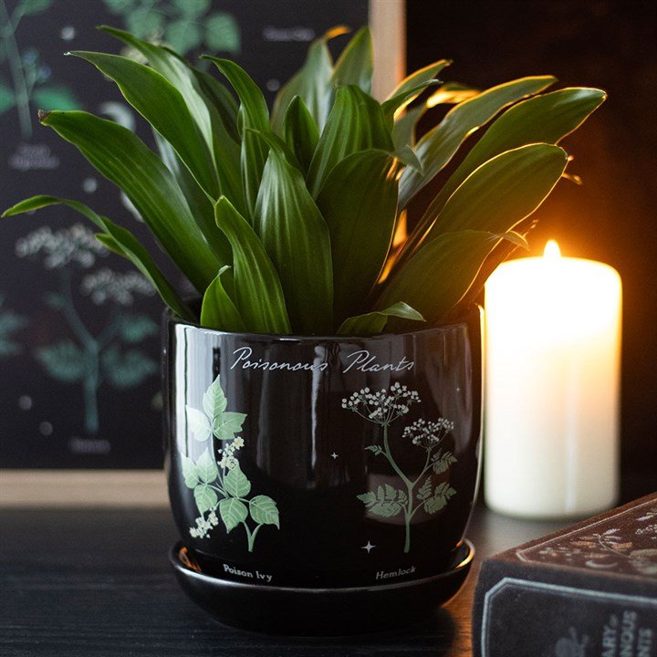Poisonous Plants Plant Pot | Inspired Creative Gifts | UK Supplier
