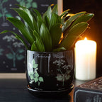Poisonous Plants Plant Pot | Inspired Creative Gifts | UK Supplier