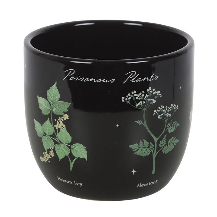 Poisonous Plants Plant Pot | Inspired Creative Gifts | UK Supplier