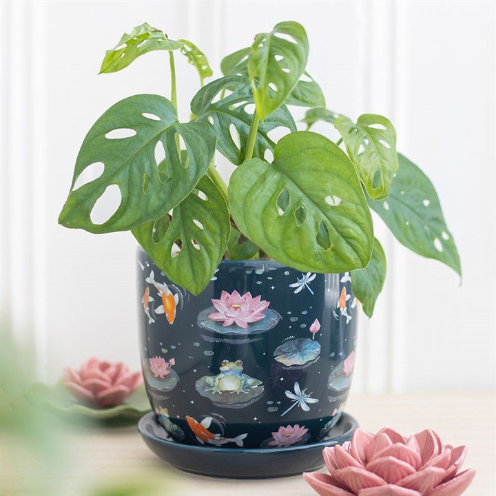 Pond Print Plant Pot with Saucer | Inspired Creative Gifts | UK Supplier