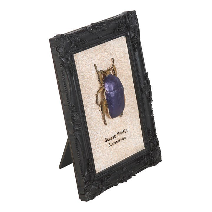 Scarab Beetle Framed Wall Art Print | Inspired Creative Gifts | UK Supplier