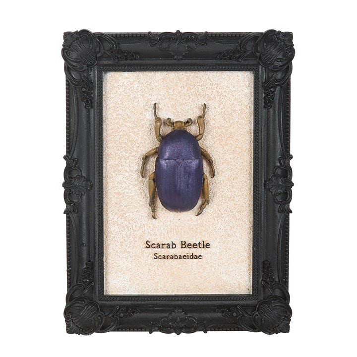 Scarab Beetle Framed Wall Art Print | Inspired Creative Gifts | UK Supplier