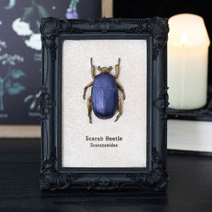 Scarab Beetle Framed Wall Art Print | Inspired Creative Gifts | UK Supplier