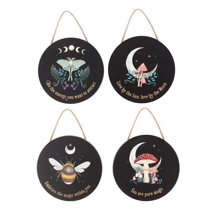 Set of 24 Dark Forest Signs on Display | Inspired Creative Gifts | UK Supplier