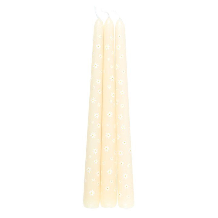 Set of 3 Carrot Patch Daisy Taper Candles | Inspired Creative Gifts | UK Supplier