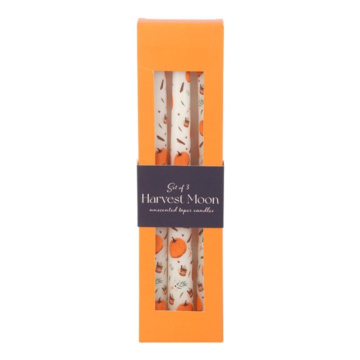 Set of 3 Pumpkin Taper Candles | Inspired Creative Gifts | UK Supplier