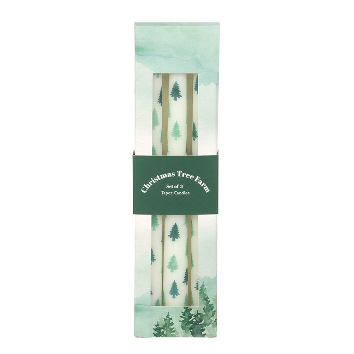 Set of 3 White Fir Tree Taper Candles | Inspired Creative Gifts | UK Supplier
