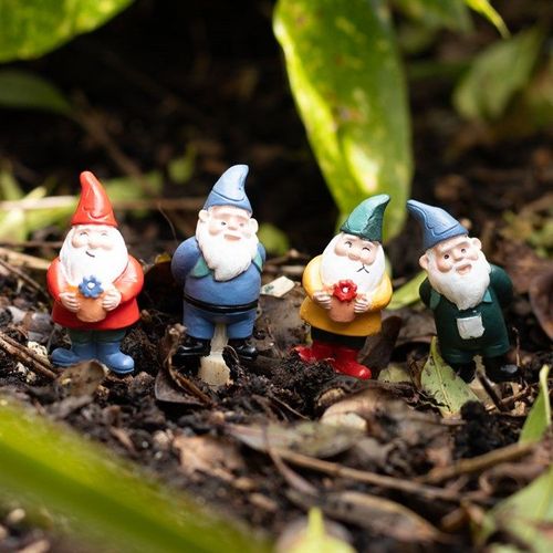 Set of 4 Mini Gnome Plant Pot Pals | Inspired Creative Gifts | UK Supplier