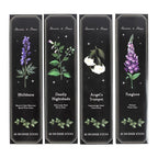 Set of 4 Poisonous Plants Incense Stick Packs | Inspired Creative Gifts | UK Supplier