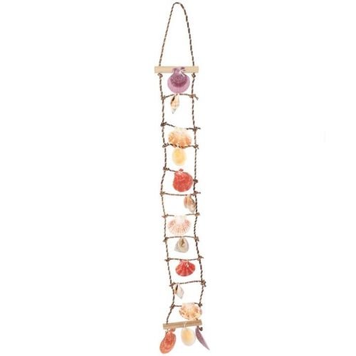Shell Ladder | Inspired Creative Gifts | UK Supplier