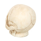 Skull Ornament with Snake | Inspired Creative Gifts | UK Supplier