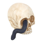 Skull Ornament with Snake | Inspired Creative Gifts | UK Supplier