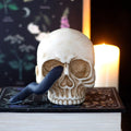 Skull Ornament with Snake | Inspired Creative Gifts | UK Supplier