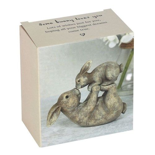 Some Bunny Loves You Ornament | Inspired Creative Gifts | UK Supplier