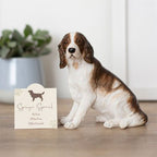 Springer Spaniel Dog Ornament | Inspired Creative Gifts | UK Supplier